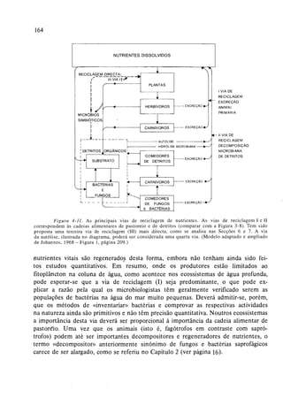 Livro: Fundamentos de ecologia