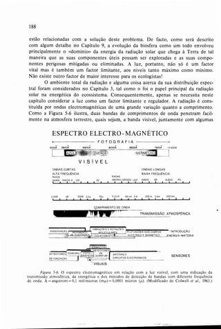 Livro: Fundamentos de ecologia