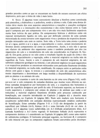 Livro: Fundamentos de ecologia