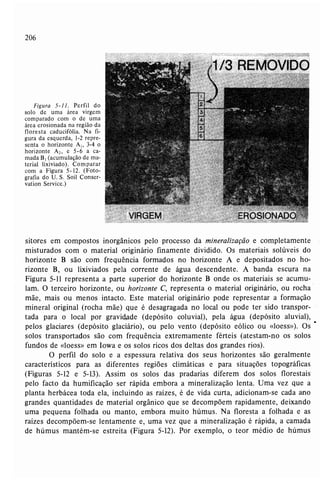 Livro: Fundamentos de ecologia