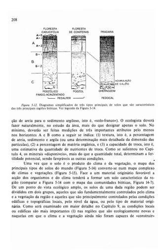 Livro: Fundamentos de ecologia