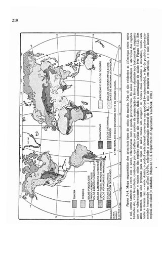 Livro: Fundamentos de ecologia
