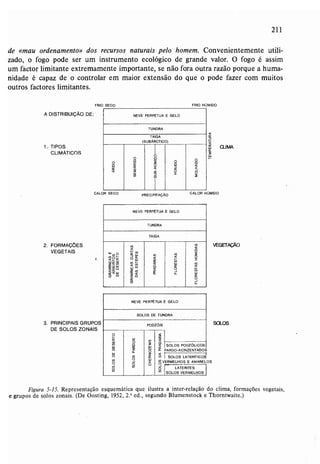 Livro: Fundamentos de ecologia