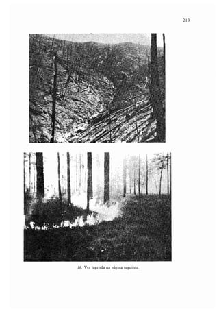 Livro: Fundamentos de ecologia