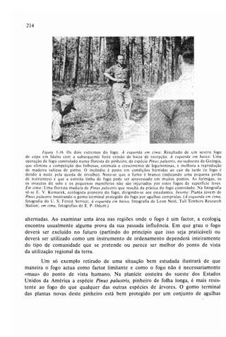 Livro: Fundamentos de ecologia