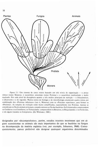 Livro: Fundamentos de ecologia