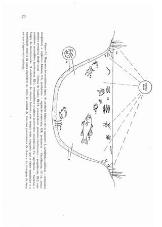 Livro: Fundamentos de ecologia