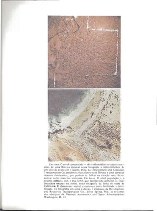 Livro: Fundamentos de ecologia