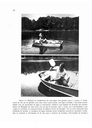 Livro: Fundamentos de ecologia