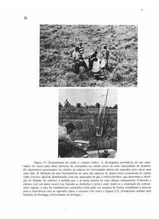 Livro: Fundamentos de ecologia