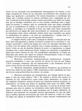 Livro: Fundamentos de ecologia