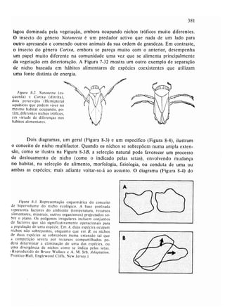 Livro: Fundamentos de ecologia