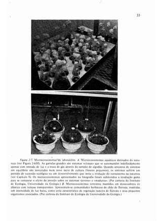 Livro: Fundamentos de ecologia