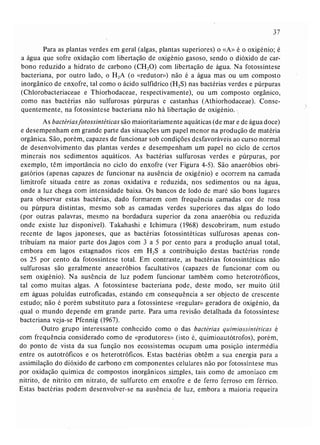 Livro: Fundamentos de ecologia