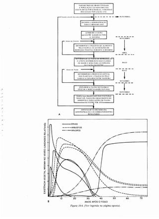 Livro: Fundamentos de ecologia