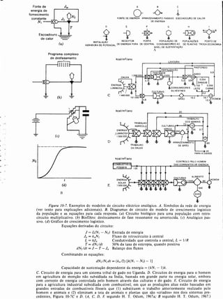 Livro: Fundamentos de ecologia