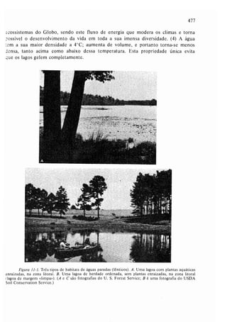 Livro: Fundamentos de ecologia