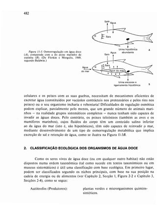 Livro: Fundamentos de ecologia