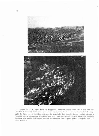 Livro: Fundamentos de ecologia