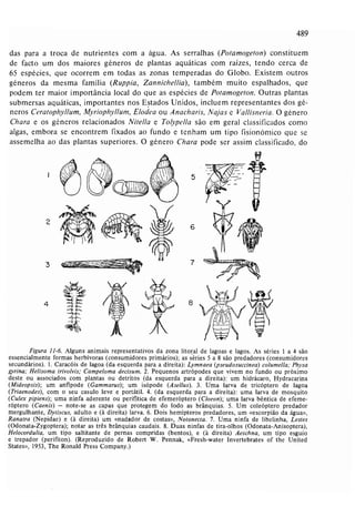 Livro: Fundamentos de ecologia