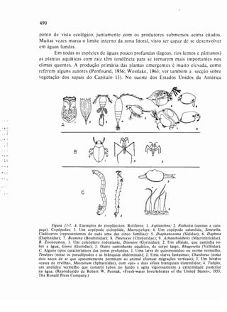 Livro: Fundamentos de ecologia