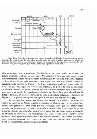 Livro: Fundamentos de ecologia