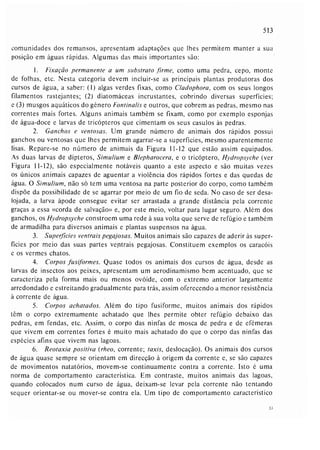 Livro: Fundamentos de ecologia