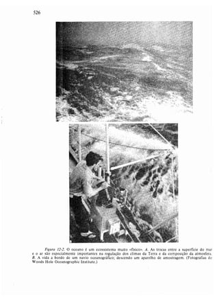 Livro: Fundamentos de ecologia