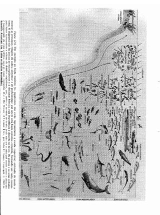 Livro: Fundamentos de ecologia