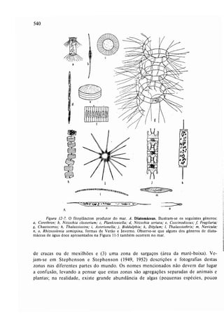 Livro: Fundamentos de ecologia