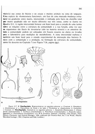 Livro: Fundamentos de ecologia