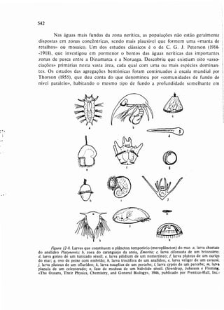 Livro: Fundamentos de ecologia