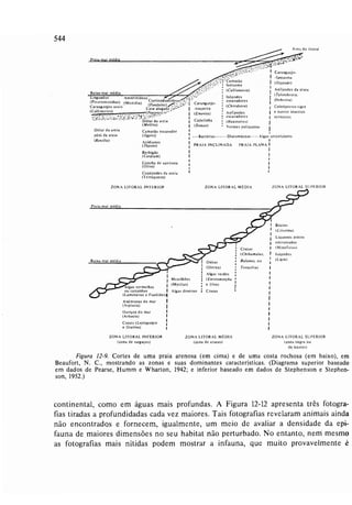 Livro: Fundamentos de ecologia
