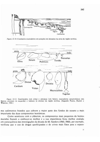 Livro: Fundamentos de ecologia