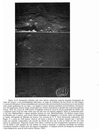 Livro: Fundamentos de ecologia