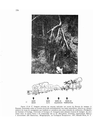 Livro: Fundamentos de ecologia