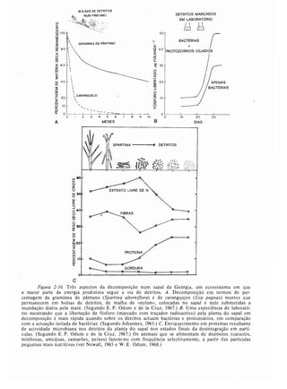 Livro: Fundamentos de ecologia
