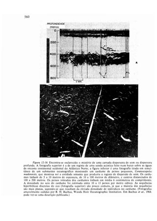 Livro: Fundamentos de ecologia