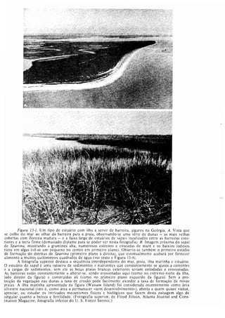 Livro: Fundamentos de ecologia