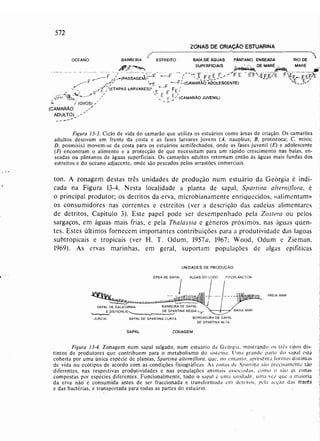 Livro: Fundamentos de ecologia