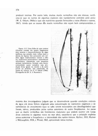 Livro: Fundamentos de ecologia