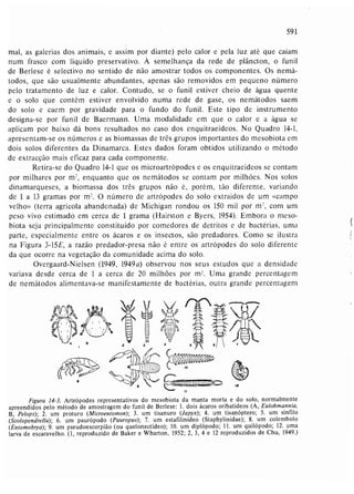 Livro: Fundamentos de ecologia