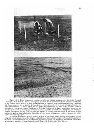 Livro: Fundamentos de ecologia