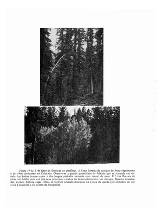 Livro: Fundamentos de ecologia