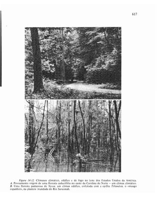 Livro: Fundamentos de ecologia