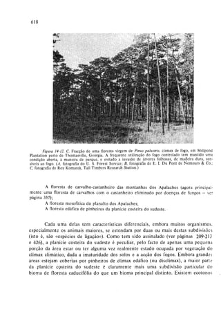 Livro: Fundamentos de ecologia