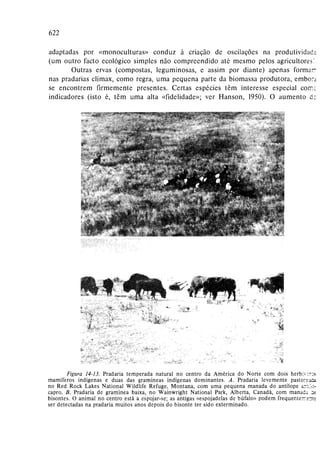 Livro: Fundamentos de ecologia