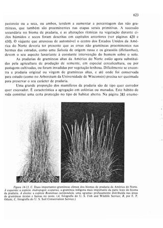 Livro: Fundamentos de ecologia