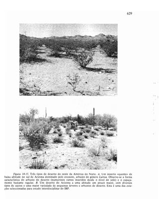 Livro: Fundamentos de ecologia