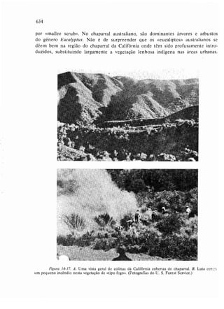 Livro: Fundamentos de ecologia